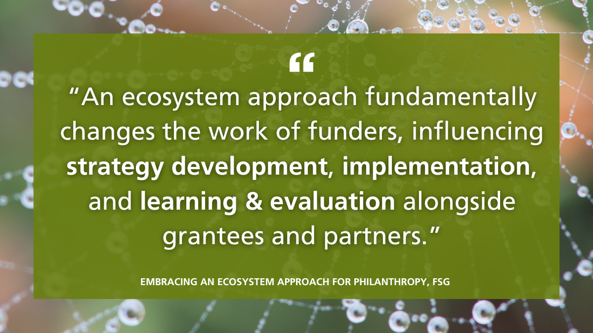 Quote in white text with a green background showcasing a spiderweb: "An ecosystem approach fundamentally changes the work of funders, influencing strategy development, implementation, and learning & evaluation alongside grantees and partners."