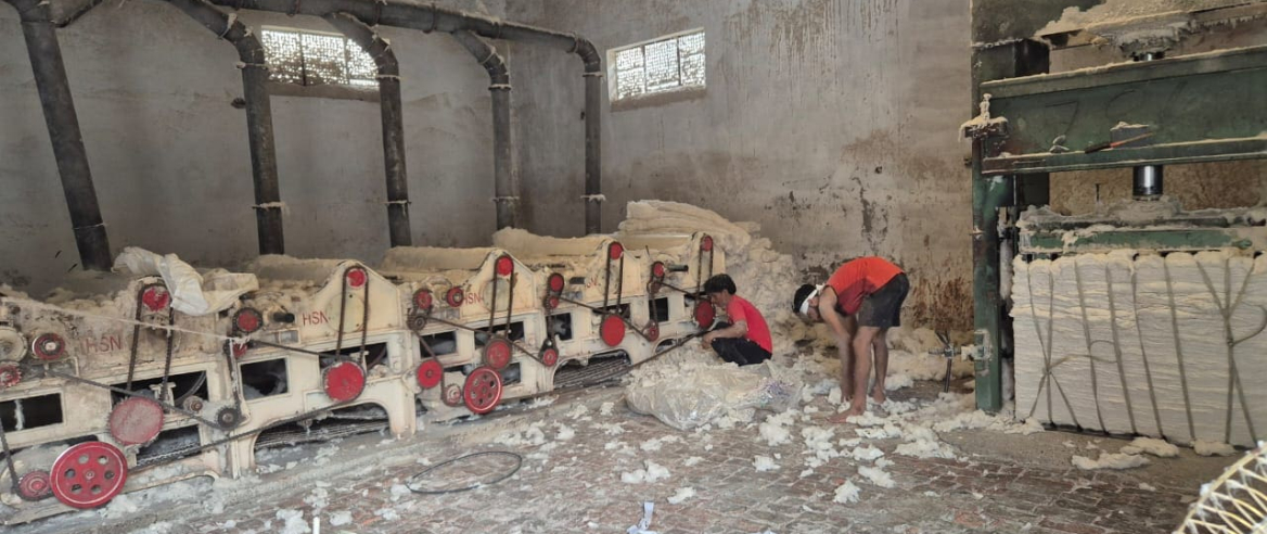 Two people working in a cotton processing facility